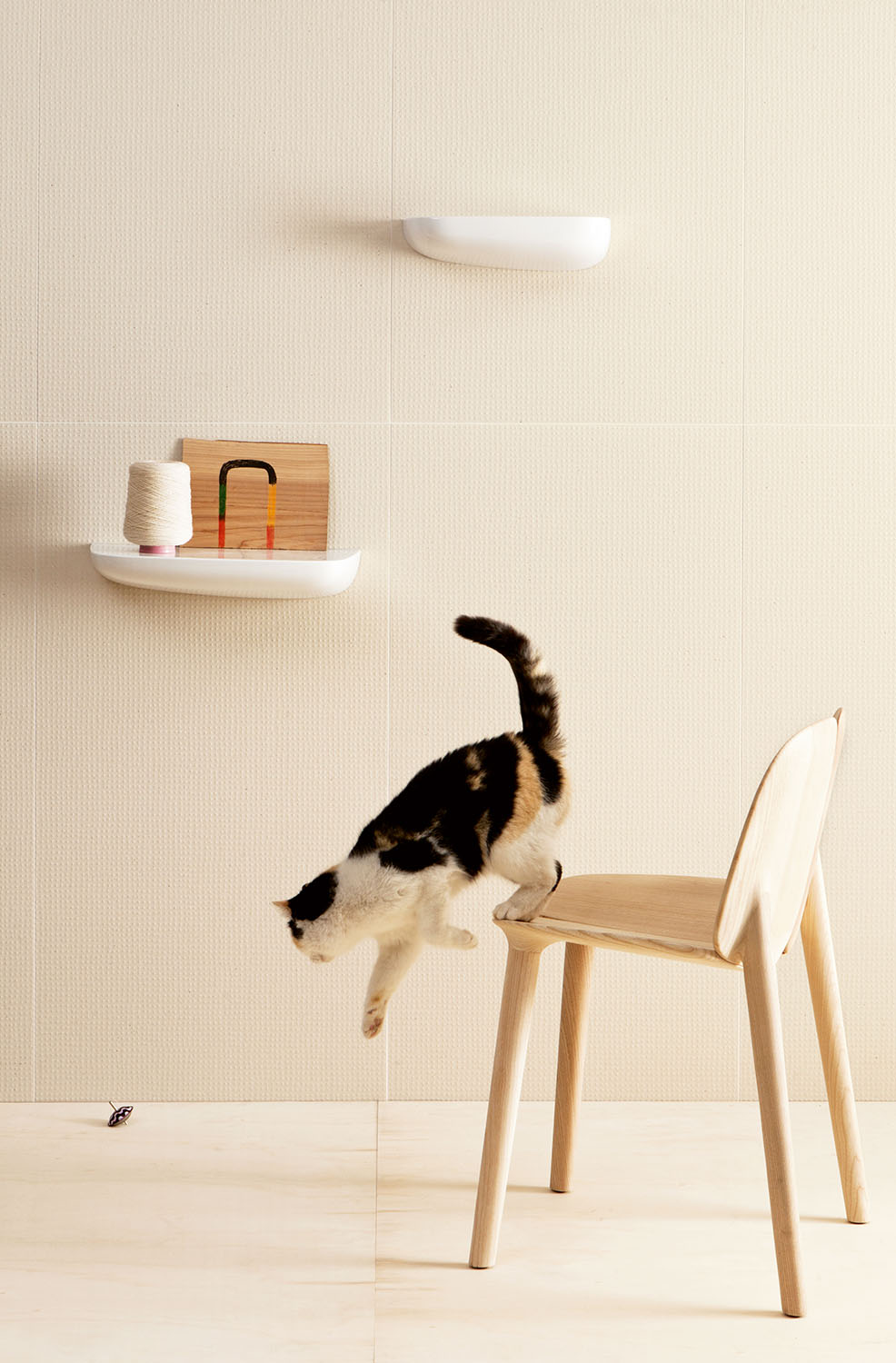 Mutina pico